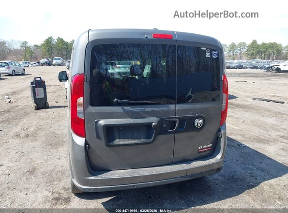 ZFBERFBB1H6F14614 2017 RAM PROMASTER CITY Серый 