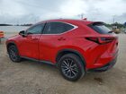 2024 Lexus Nx 250 Base Красный vin: 2T2ADCAZ0RC007052