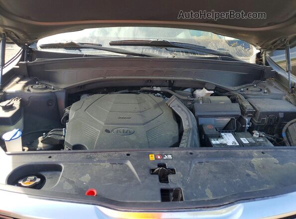 5XYP64HC5LG008967 2020 KIA TELLURIDE Brown Vista de la etiqueta del VIN