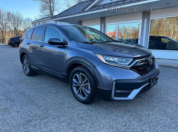 5J6RT6H51NL009954 2022 HONDA CRV Серый Задняя левая четверть