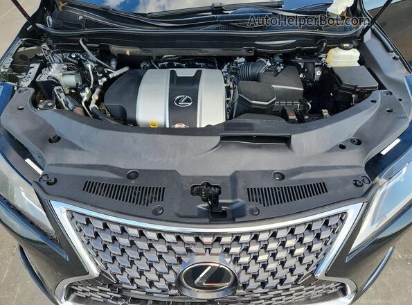JTJHZKEA0M2022951 2021 LEXUS RX Черный Вид наклейки с VIN-кодом