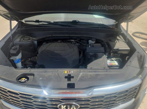 5XYP5DHC0LG033312 2020 KIA TELLURIDE Gray Widok naklejki z numerem VIN