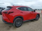 2024 Lexus Nx 250 Base Красный vin: 2T2ADCAZ0RC007052