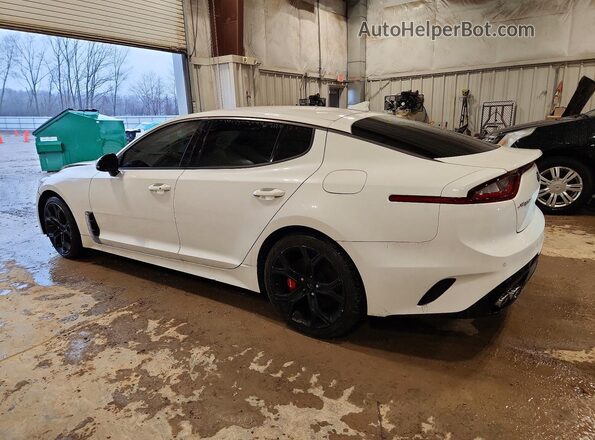 KNAE35LC5K6060207 2019 KIA STINGER Белый Задняя правая четверть
