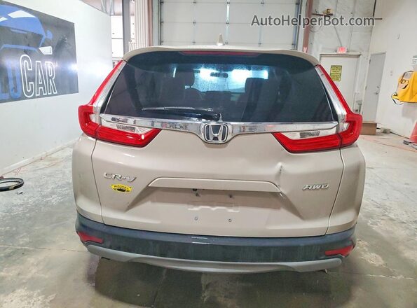 5J6RW2H56HL053923 2017 HONDA CR-V Желто-коричневый Вид сзади
