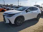 2024 Lexus Nx 250 Base Белый vin: 2T2ADCAZ0RC007200