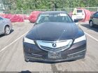 2016 Acura Tlx V6 Black vin: 19UUB2F34GA006107