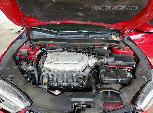 19UUB2F45KA001032 2019 ACURA TLX Красный Вид задней части салона