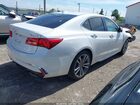2019 Acura Tlx Tech Pkg White vin: 19UUB2F49KA010610