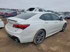 2019 Acura Tlx Technology White vin: 19UUB2F63KA000494