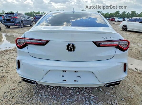 19UUB5F41RA000357 2024 ACURA TLX Белый Вид сзади