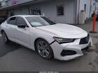 19UUB5F43MA007531