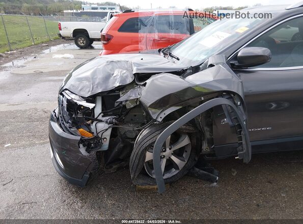 1C4PJLDB6LD569828 2020 JEEP CHEROKEE Gray Front view