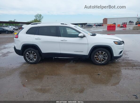1C4PJLLB3LD511581 2020 JEEP CHEROKEE Белый Вид задней части салона