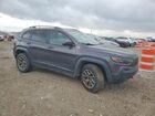 2020 Jeep Cherokee Trailhawk 4wd Серый vin: 1C4PJMBX4LD528778