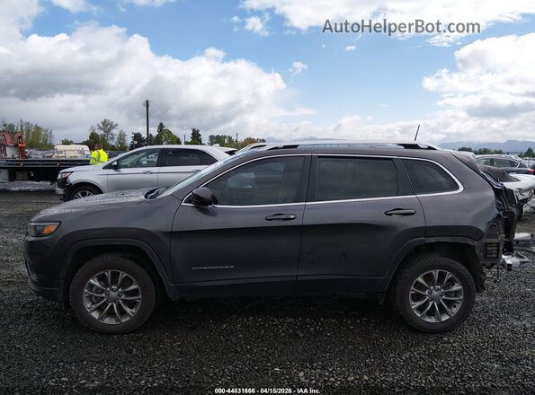 1C4PJMLX2LD613276 2020 JEEP CHEROKEE Gray 