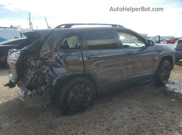 1C4PJMMB6PD100718 2023 JEEP CHEROKEE Серый 