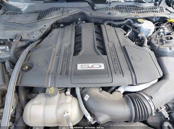 1FA6P8CF5M5156375 2021 FORD MUSTANG Серый Вид сзади