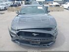 2019 Ford Mustang Ecoboost Gray vin: 1FA6P8TH3K5168202 2019 Ford Mustang Ecoboost Gray vin: 1FA6P8TH3K5168202