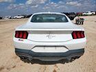2024 Ford Mustang Белый vin: 1FA6P8TH3R5111640