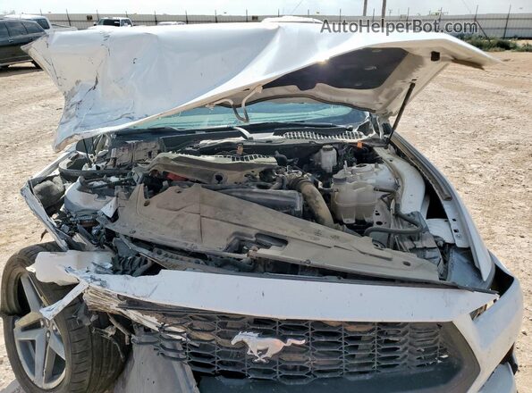 1FA6P8TH3R5111640 2024 FORD MUSTANG Белый Вид задней части салона