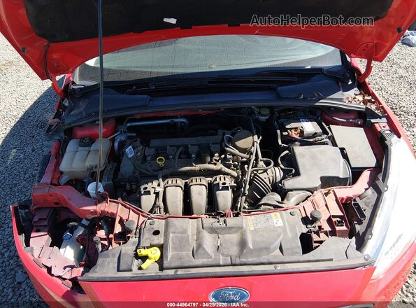 1FADP3K21GL225815 2016 FORD FOCUS Красный Вид сзади