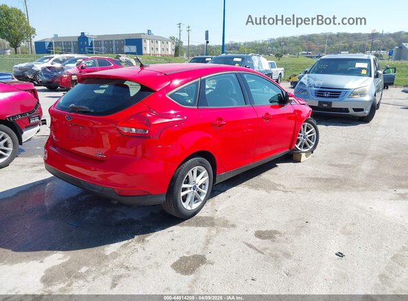 1FADP3K22GL281794 2016 FORD FOCUS Red Tył prawy