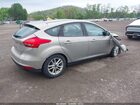 2016 Ford Focus Se Beige vin: 1FADP3K22GL285019 2016 Ford Focus Se Beige vin: 1FADP3K22GL285019