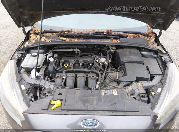 1FADP3K25GL332902 2016 FORD FOCUS Gray უკანა ხედი