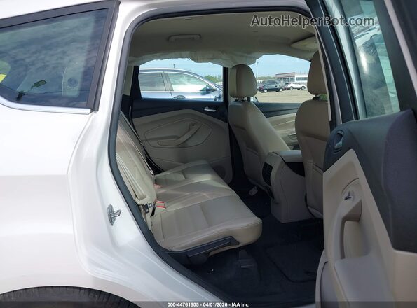 1FADP5FU8HL101162 2017 FORD C-MAX ENERGI Белый Вид наклейки с VIN-кодом