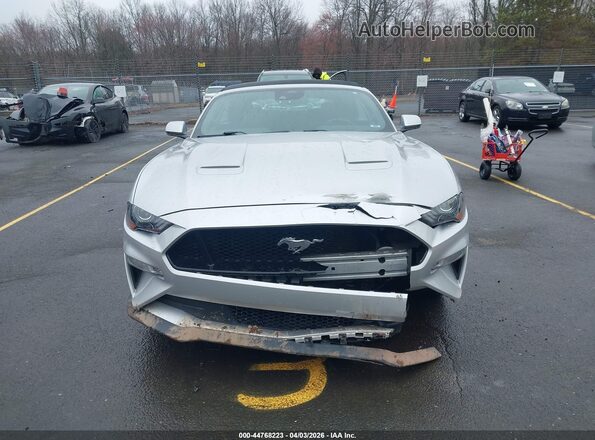 1FATP8FF3K5196899 2019 FORD MUSTANG Серебряный Вид задней части салона