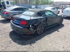 2020 Ford Mustang Ecoboost Premium Black vin: 1FATP8UH4L5113101