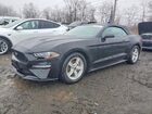 2020 Ford Mustang Black vin: 1FATP8UH6L5178323