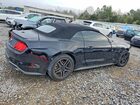 2019 Ford Mustang Черный vin: 1FATP8UH9K5170683
