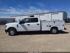 2019 Ford F-250 Xl Белый vin: 1FD7W2A60KEC15830