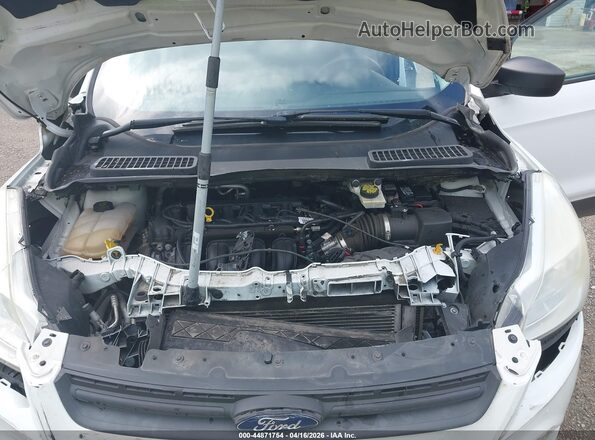1FMCU0F71GUC84050 2016 FORD ESCAPE Белый Вид сзади