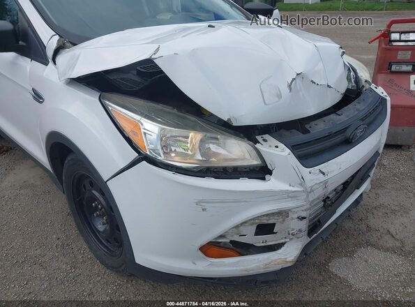 1FMCU0F71GUC84050 2016 FORD ESCAPE Белый 