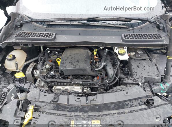 1FMCU0GD0KUB53611 2019 FORD ESCAPE Черный Вид сзади