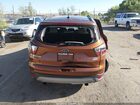2017 Ford Escape Se Оранжевый vin: 1FMCU0GD8HUB52442