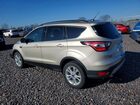 2017 Ford Escape Se Gold vin: 1FMCU0GD8HUB59407