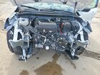 2026 Ford Escape Active Белый vin: 1FMCU0GN0TUA08787