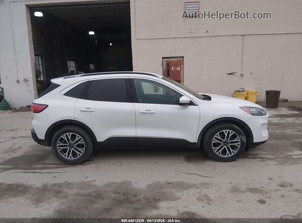 1FMCU0H67LUC71947 2020 FORD ESCAPE White Widok wnętrza z tyłu