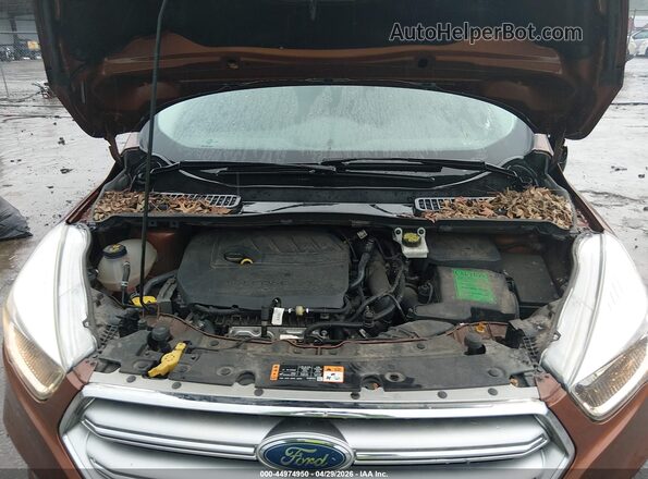 1FMCU9GD3HUB76457 2017 FORD ESCAPE Оранжевый Вид сзади