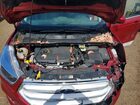 2018 Ford Escape Se Красный vin: 1FMCU9GD8JUD28593