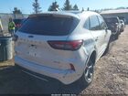 2024 Ford Escape St-line Белый vin: 1FMCU9MN0RUB25982