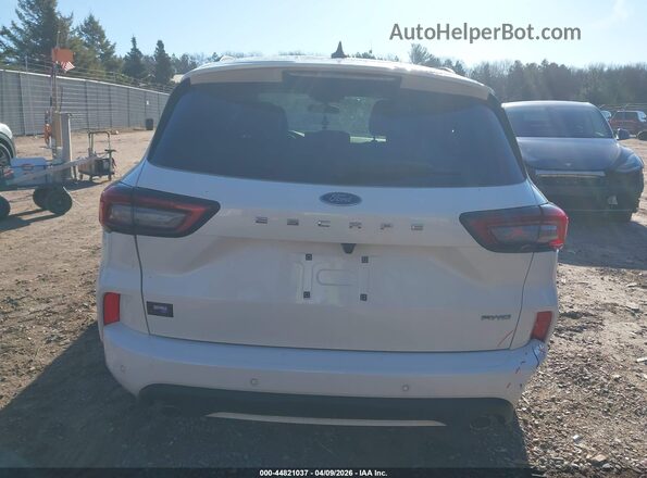 1FMCU9MN0RUB25982 2024 FORD ESCAPE Белый 