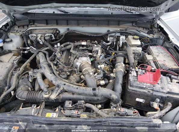 1FMEE5DPXPLB38080 2023 FORD BRONCO Cream Widok z tyłu