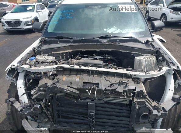 1FMSK7DH5MGC17497 2021 FORD FORD EXPLORER Белый Вид сзади