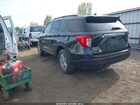 2024 Ford Explorer Xlt Green vin: 1FMSK8DH4RGA06806