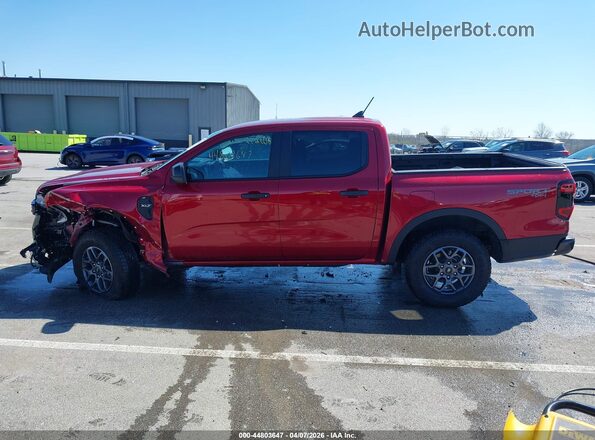 1FTER4HH8SLE35170 2025 FORD RANG Красный Панорамный вид салона 360°